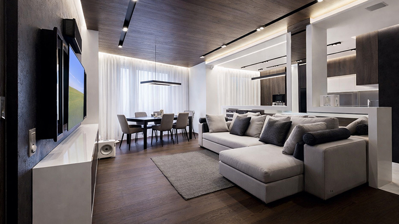 Гостиная в квартире студии в стиле функционализм