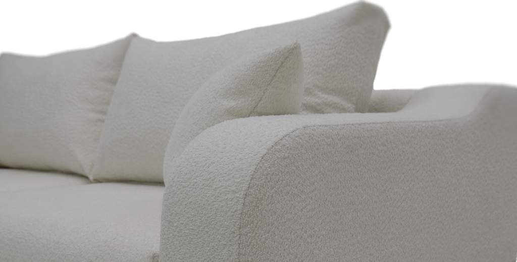 Фоджа (Soul 000) вблизи-2.jpg