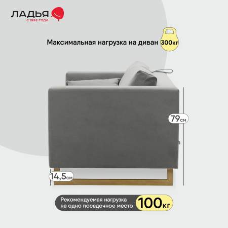 Прямой диван Каперс Дымчатый серый велюр