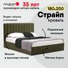 Страйп 180 Cоnfetti Olive