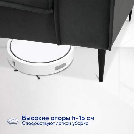 Авиньон