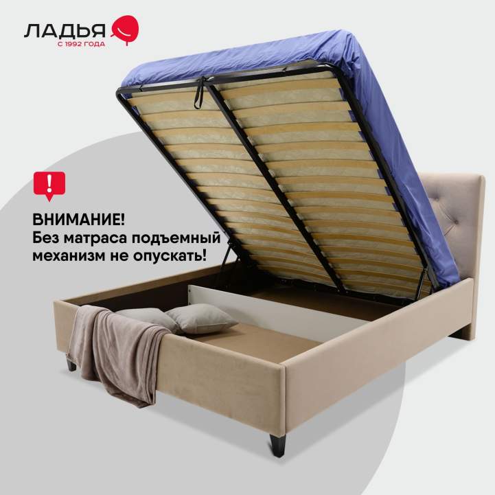 Селина 140 California 102