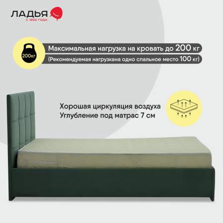 Келли 160 Ultra Olive