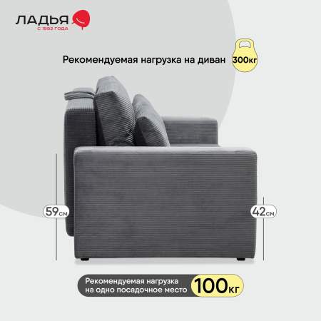 Прямой диван Рица Стальной велюр 